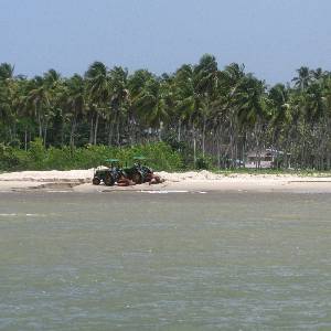 Image: A settlement among palm trees and tractors on the beach near Icacos Point.