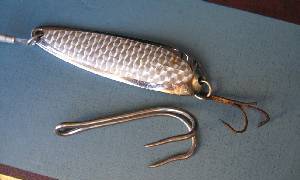Image: The rusting original triple hook broke; it could not carry the weight of the fish.